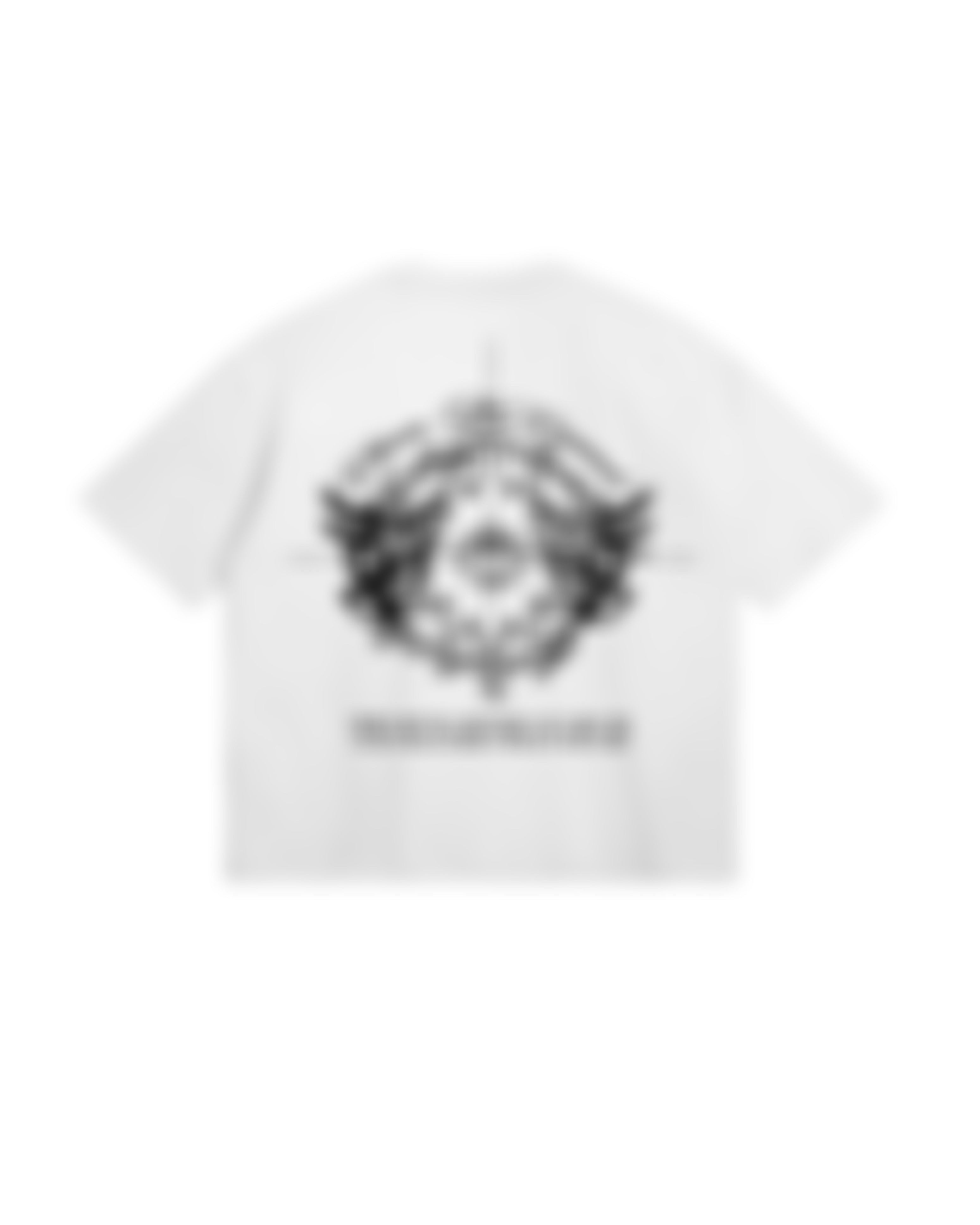Devil's Eye Boxy-Fit T-Shirt
